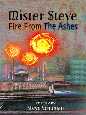 cover image of Mister Steve